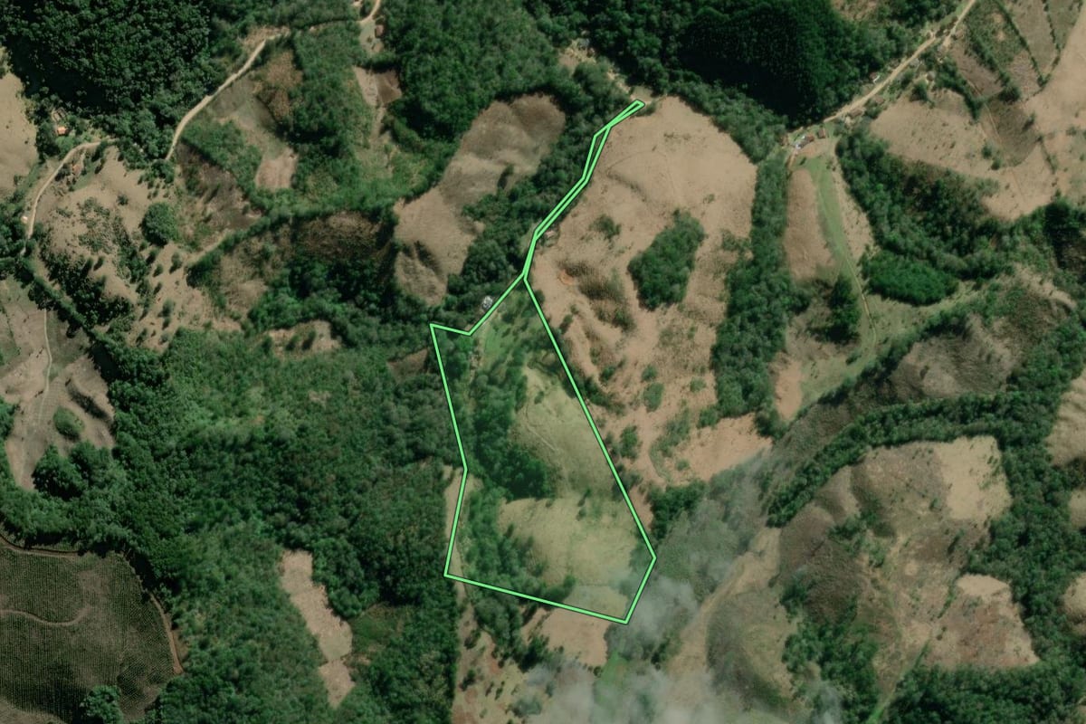 Imagem de satélite do imóvel rural em Campo Largo (PR), com o contorno declarado no CAR desenhado por cima.