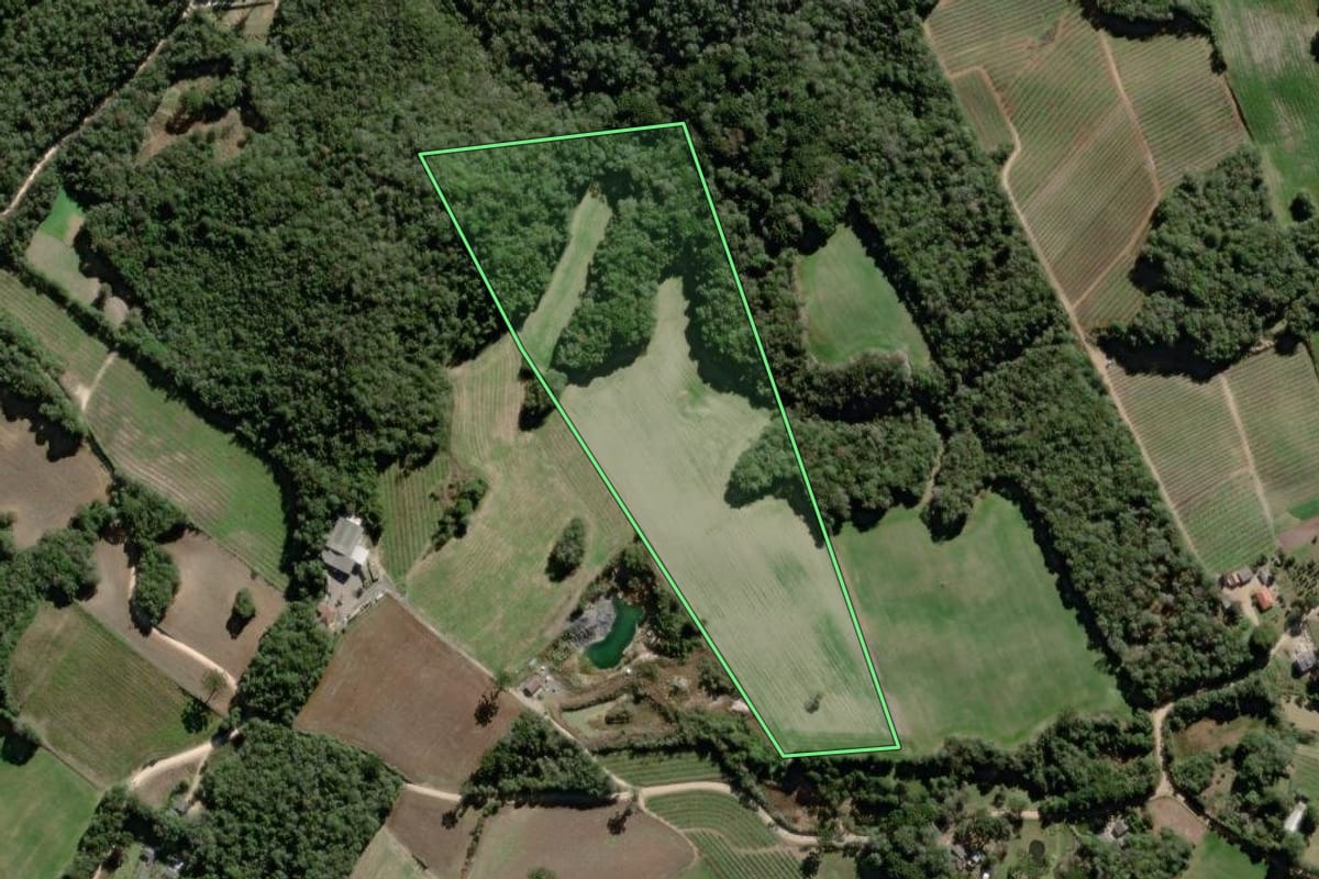 Imagem de satélite do imóvel rural em Campo Largo (PR), com o contorno declarado no CAR desenhado por cima.