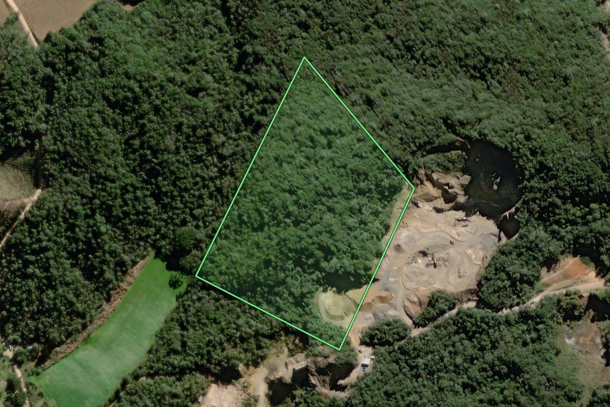 Imagem de satélite do imóvel rural em Campo Largo (PR), com o contorno declarado no CAR desenhado por cima.