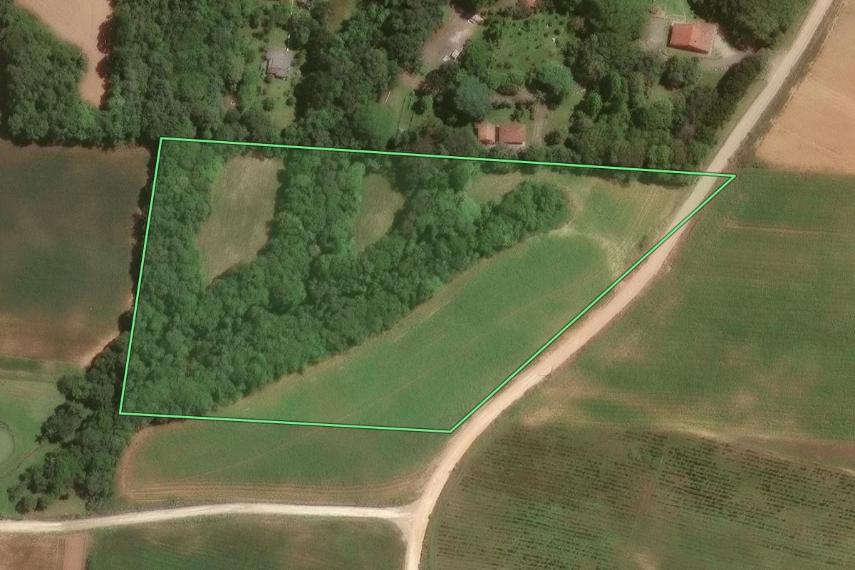 Imagem de satélite do imóvel rural em Campo Largo (PR), com o contorno declarado no CAR desenhado por cima.