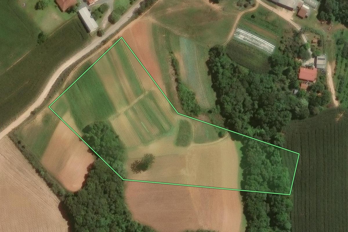 Imagem de satélite do imóvel rural em Campo Largo (PR), com o contorno declarado no CAR desenhado por cima.