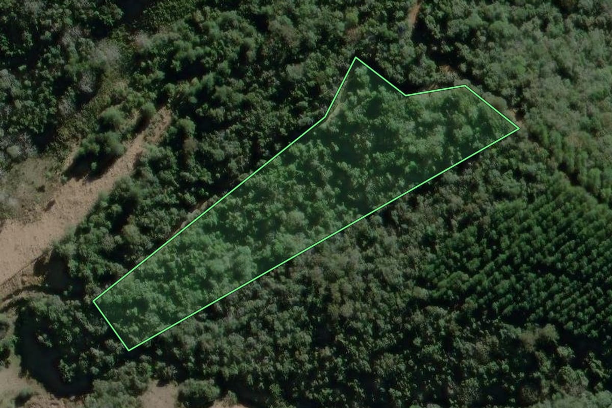 Imagem de satélite do imóvel rural em Campo Largo (PR), com o contorno declarado no CAR desenhado por cima.