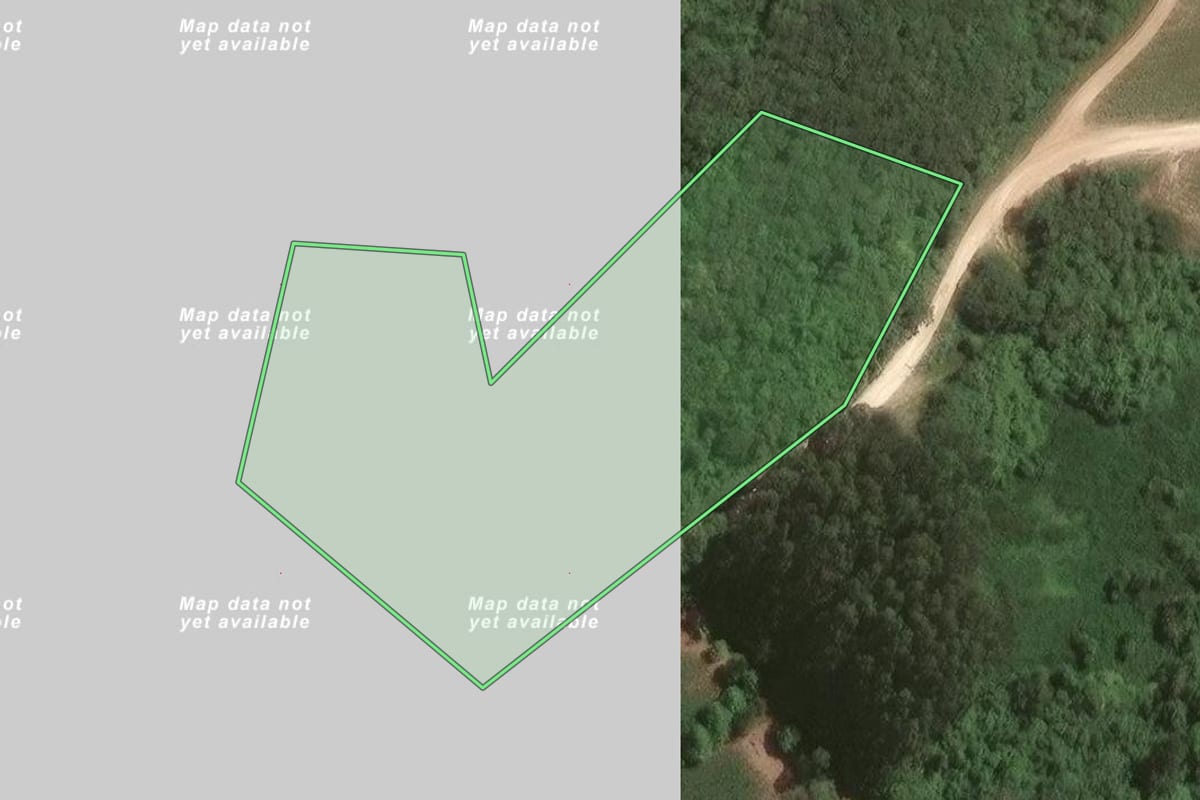 Imagem de satélite do imóvel rural em Campo Largo (PR), com o contorno declarado no CAR desenhado por cima.