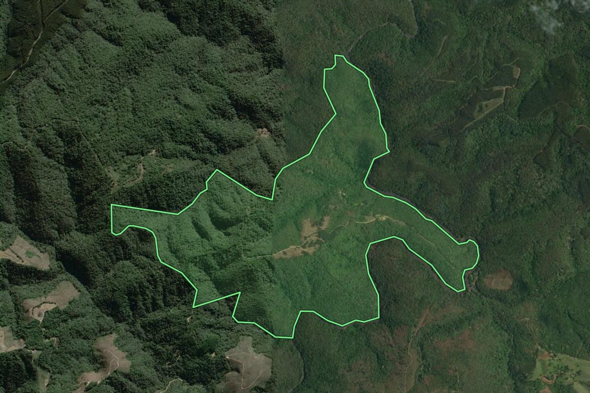 Imagem de satélite do imóvel rural em Campo Largo (PR), com o contorno declarado no CAR desenhado por cima.