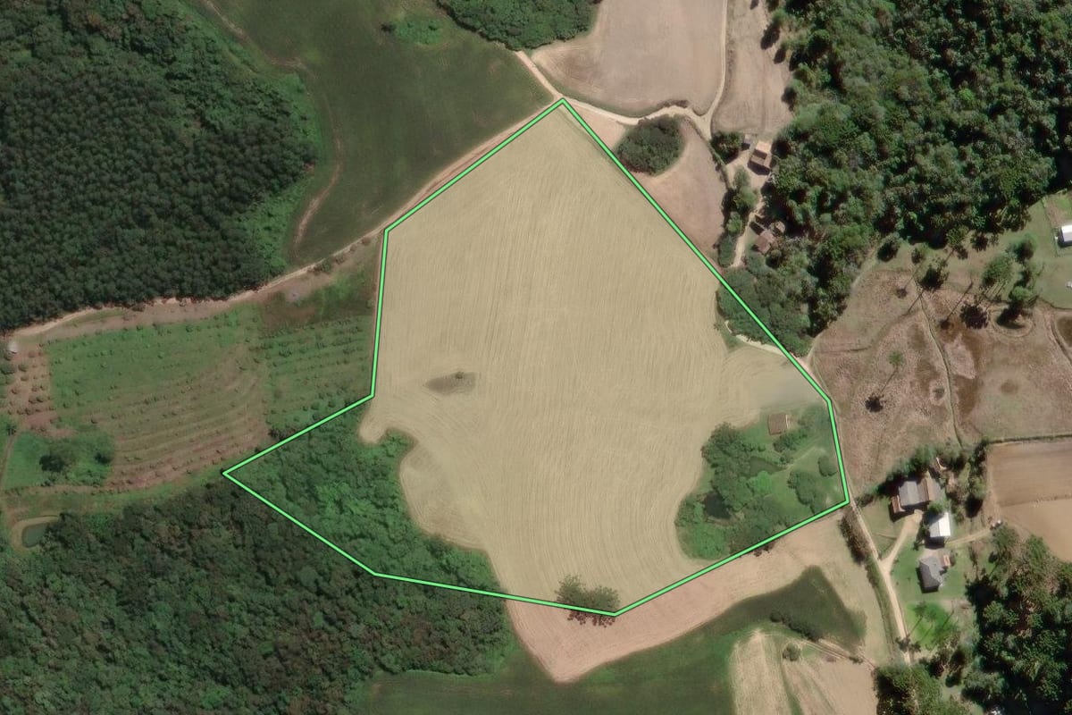 Imagem de satélite do imóvel rural em Campo Largo (PR), com o contorno declarado no CAR desenhado por cima.