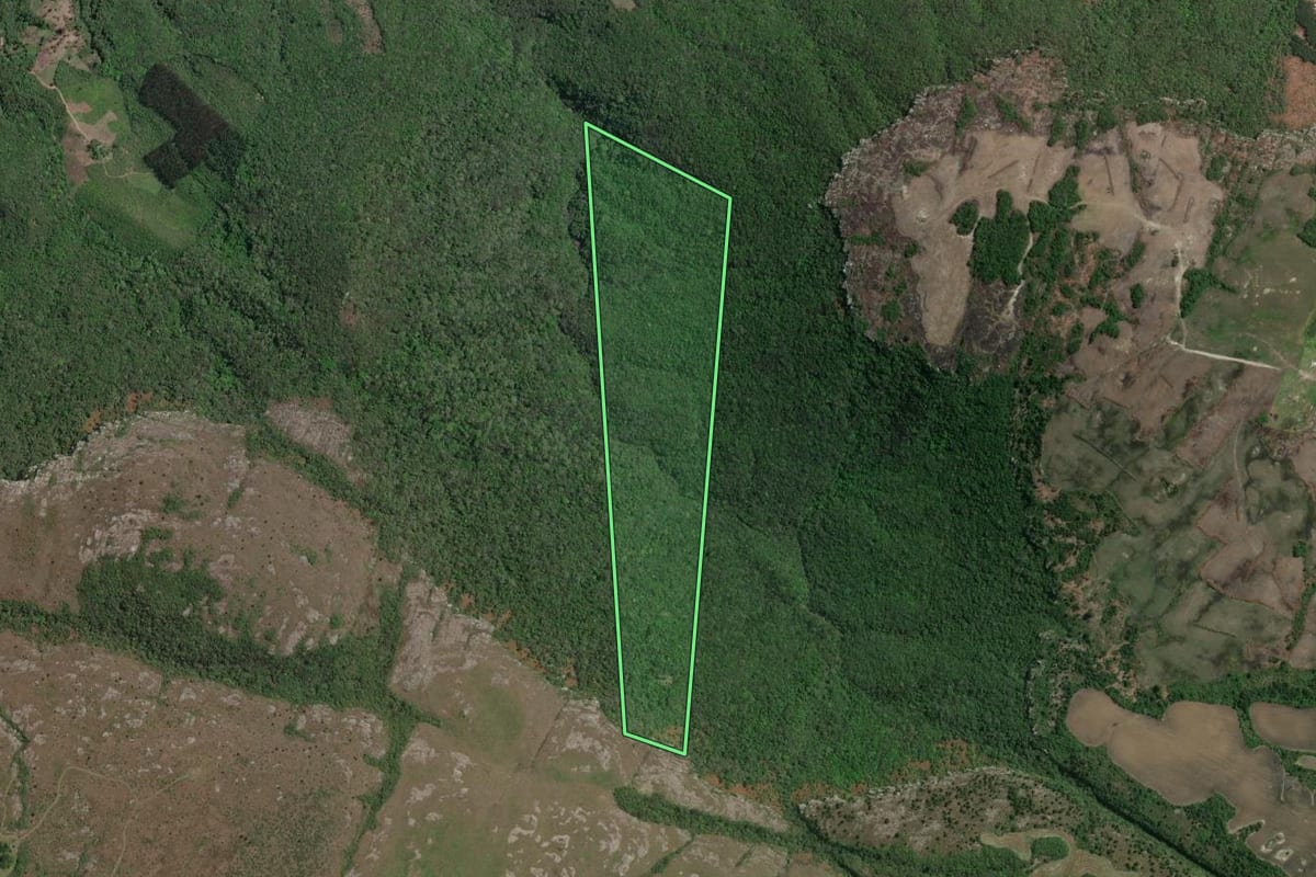 Imagem de satélite do imóvel rural em Campo Largo (PR), com o contorno declarado no CAR desenhado por cima.