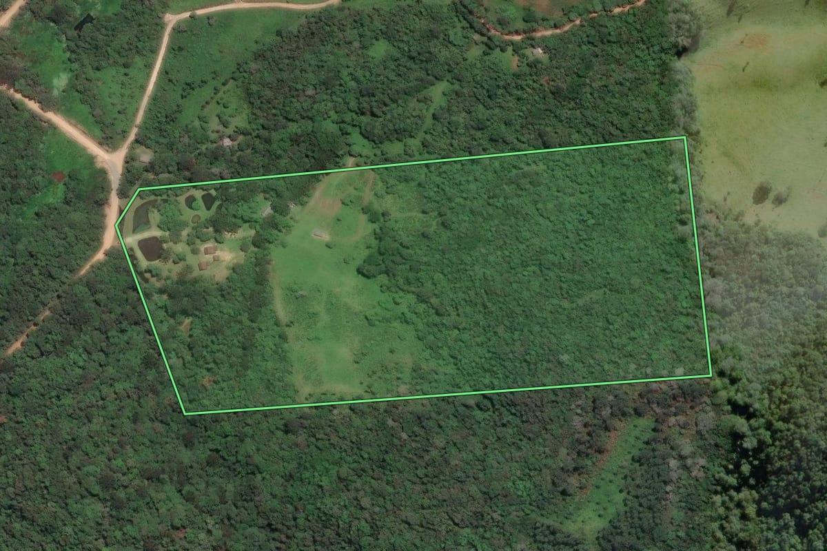 Imagem de satélite do imóvel rural em Campo Largo (PR), com o contorno declarado no CAR desenhado por cima.