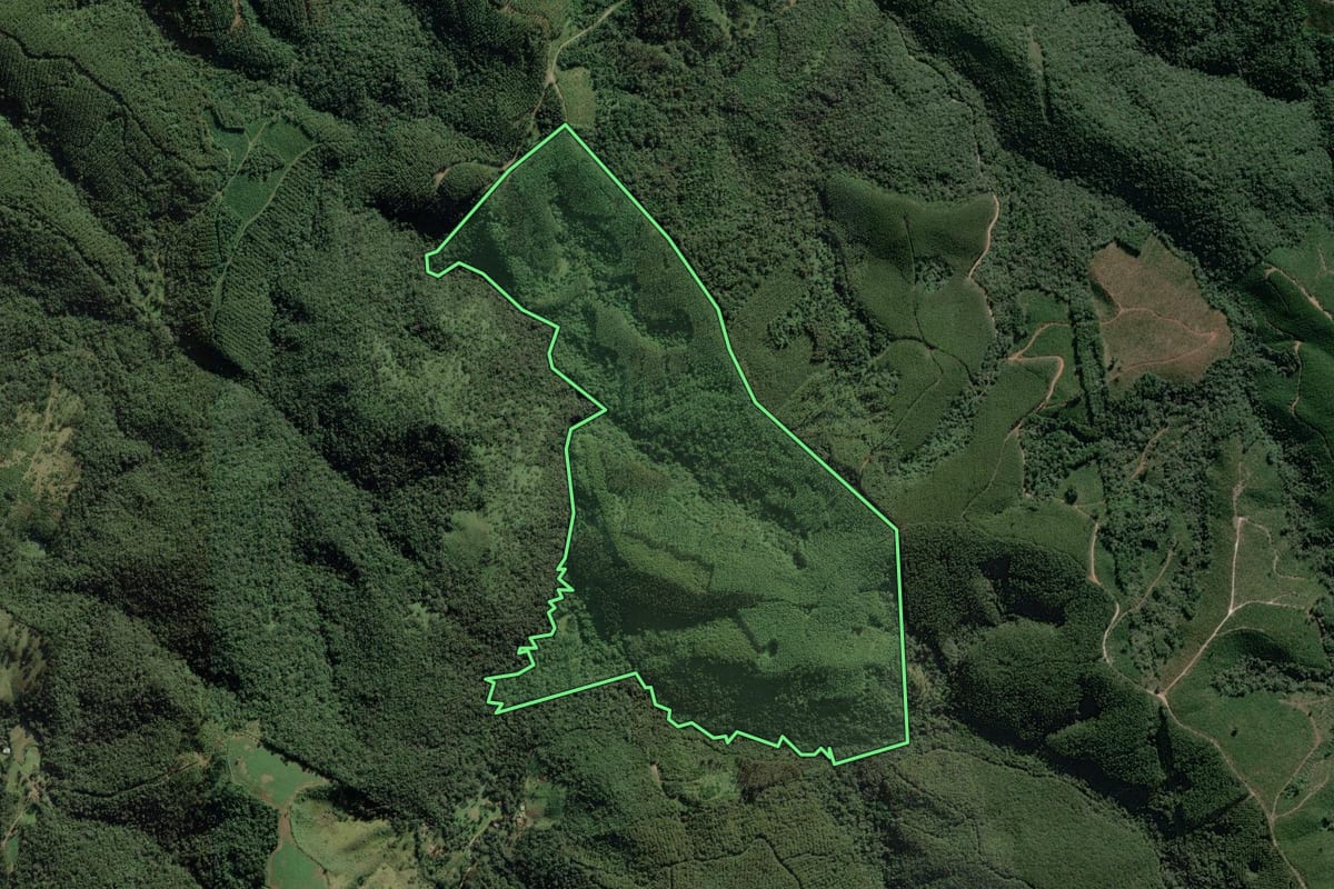 Imagem de satélite do imóvel rural em Campo Largo (PR), com o contorno declarado no CAR desenhado por cima.