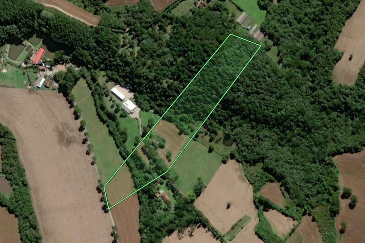 Imagem de satélite do imóvel rural em Campo Largo (PR), com o contorno declarado no CAR desenhado por cima.