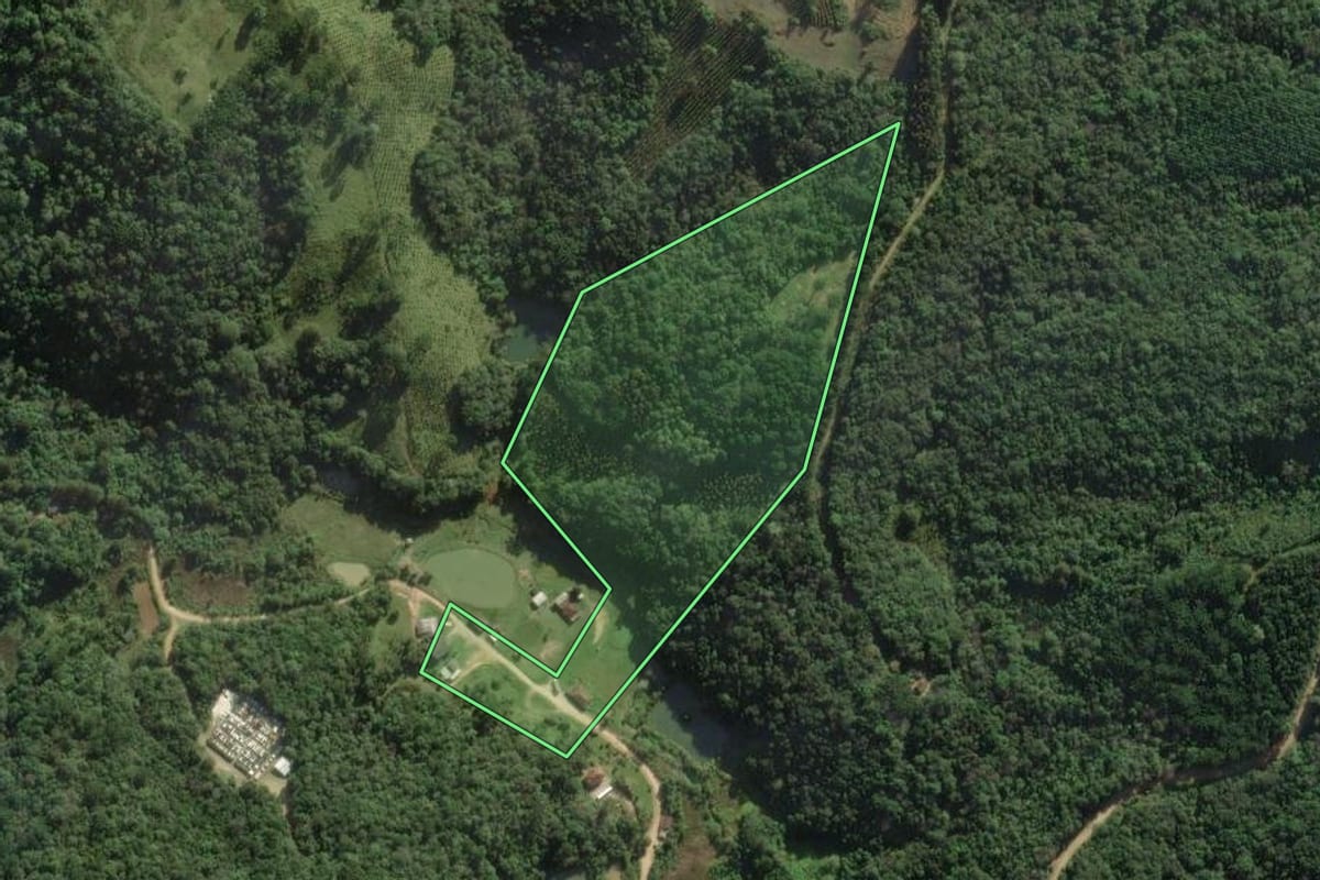 Imagem de satélite do imóvel rural em Campo Largo (PR), com o contorno declarado no CAR desenhado por cima.