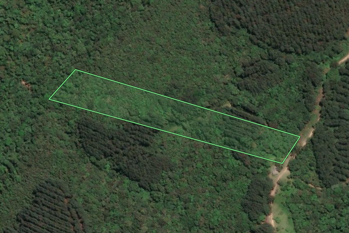 Imagem de satélite do imóvel rural em Campo Largo (PR), com o contorno declarado no CAR desenhado por cima.