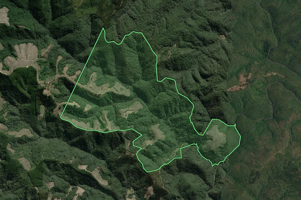 Imagem de satélite do imóvel rural em Campo Largo (PR), com o contorno declarado no CAR desenhado por cima.