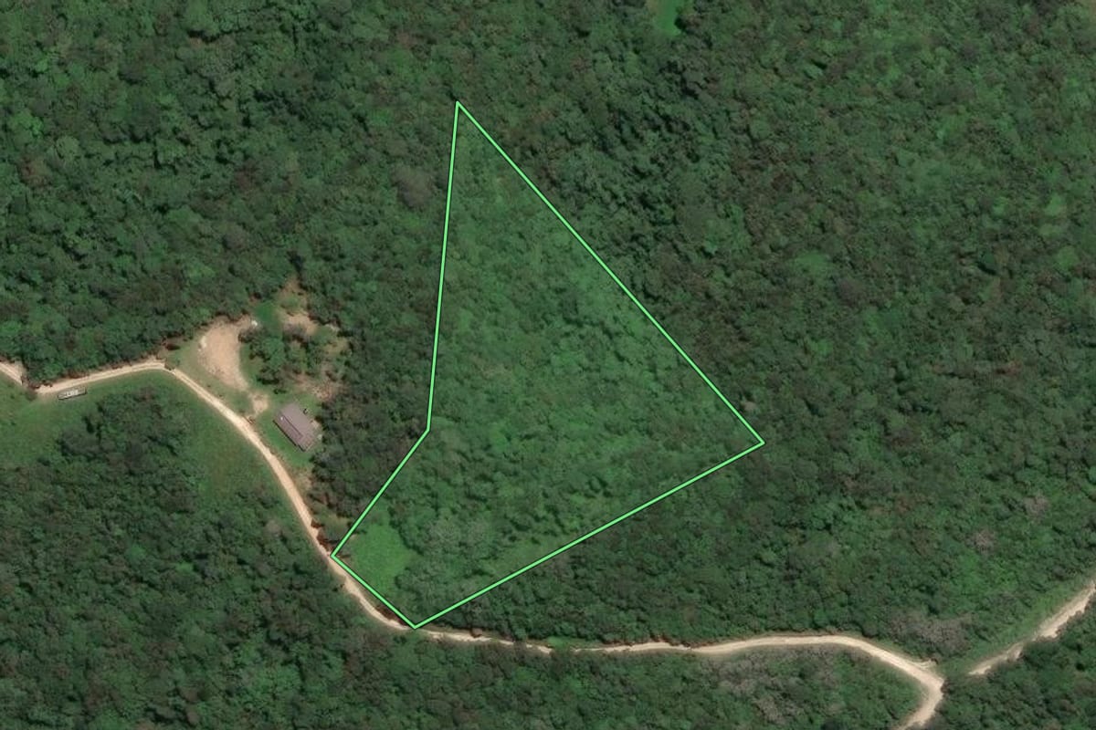 Imagem de satélite do imóvel rural em Campo Largo (PR), com o contorno declarado no CAR desenhado por cima.