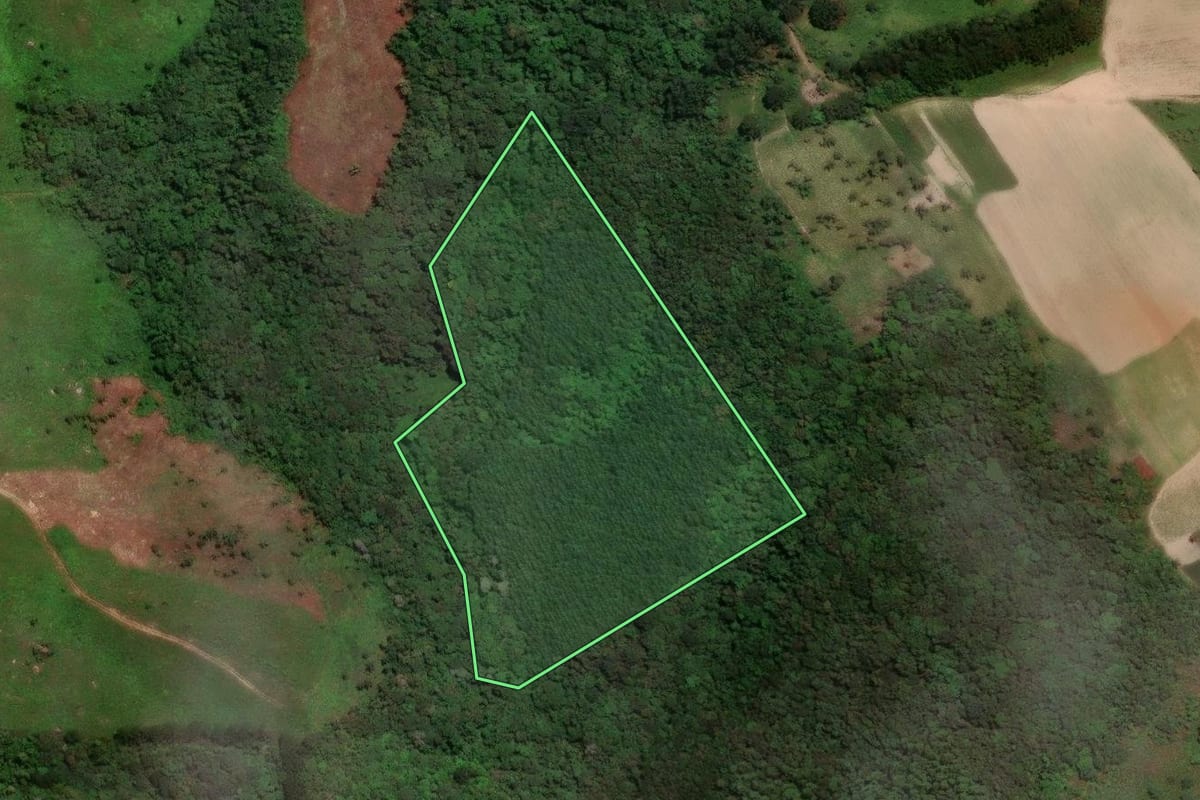 Imagem de satélite do imóvel rural em Campo Largo (PR), com o contorno declarado no CAR desenhado por cima.