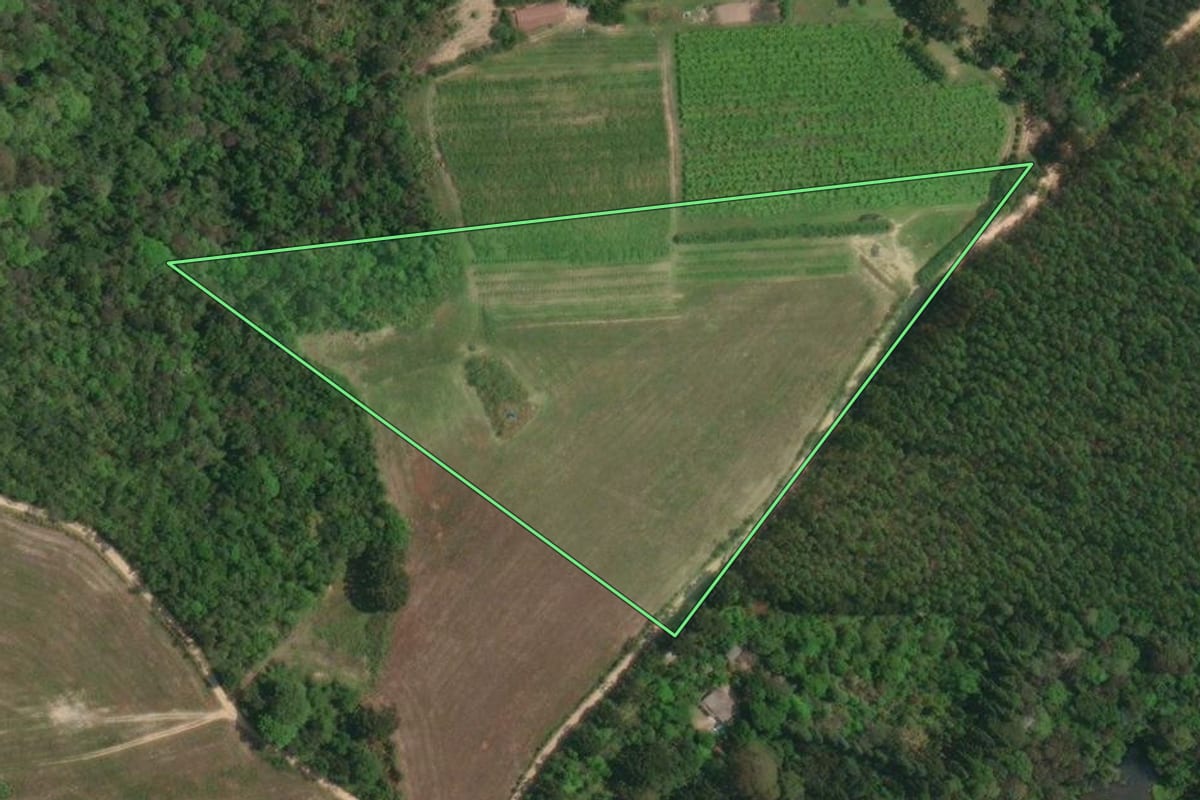 Imagem de satélite do imóvel rural em Campo Largo (PR), com o contorno declarado no CAR desenhado por cima.
