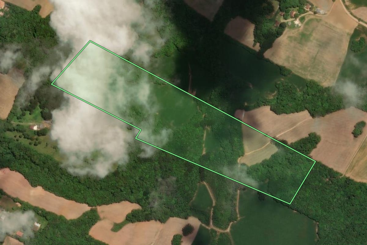 Imagem de satélite do imóvel rural em Campo Largo (PR), com o contorno declarado no CAR desenhado por cima.