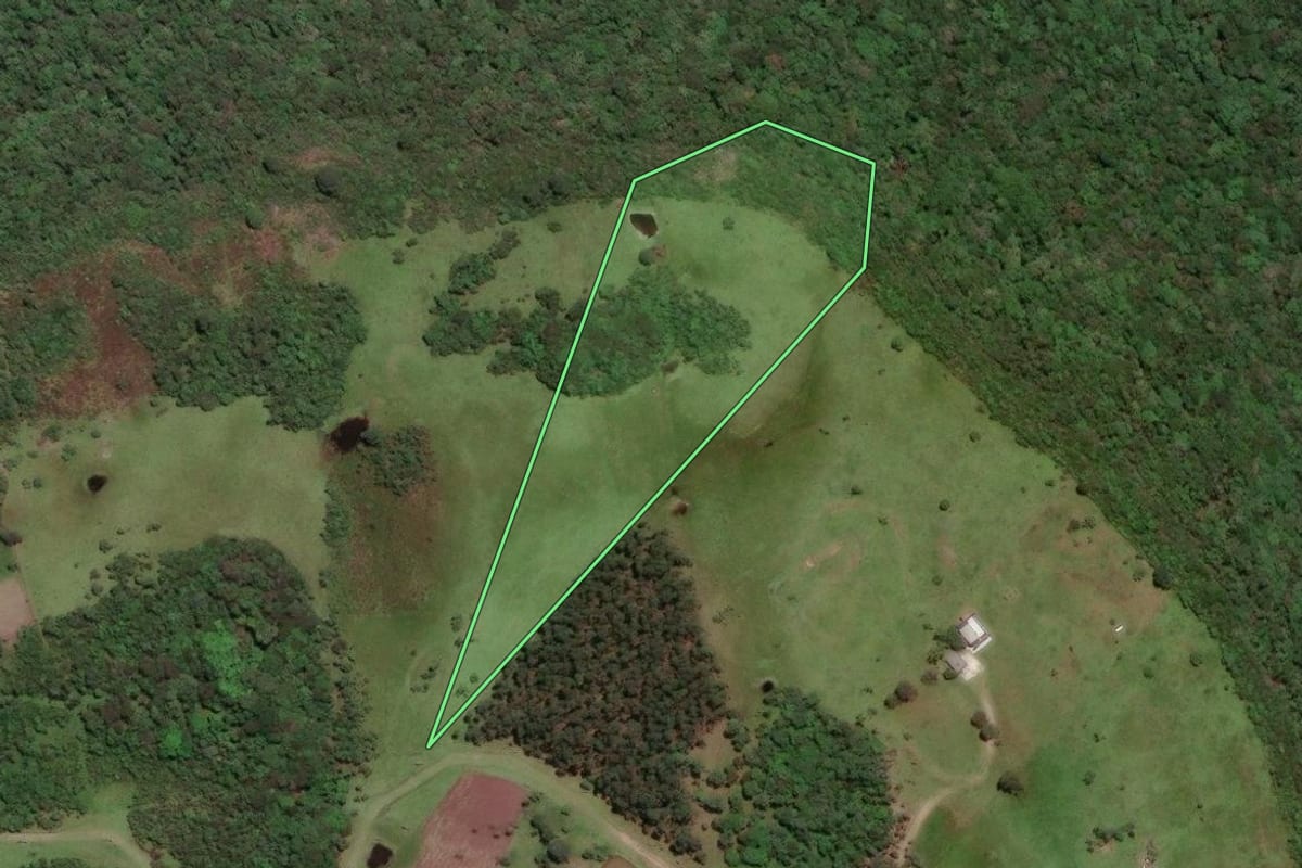 Imagem de satélite do imóvel rural em Campo Largo (PR), com o contorno declarado no CAR desenhado por cima.