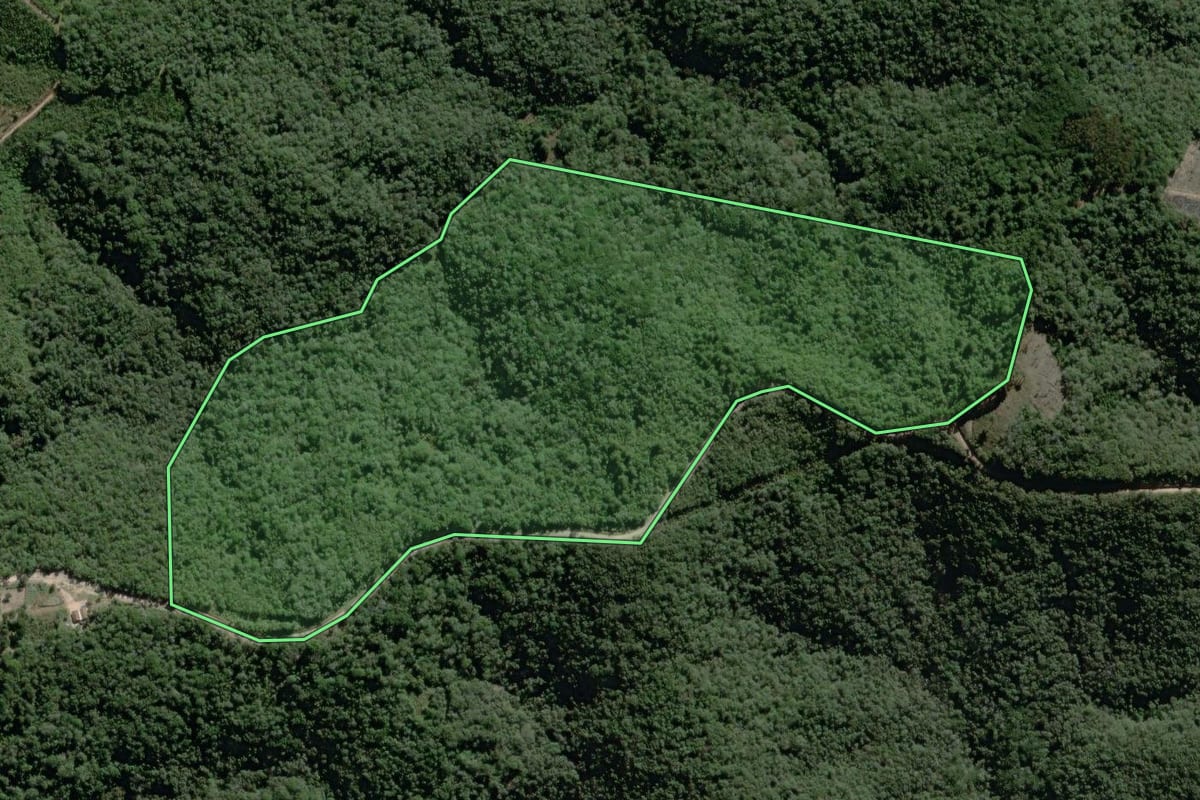 Imagem de satélite do imóvel rural em Campo Largo (PR), com o contorno declarado no CAR desenhado por cima.