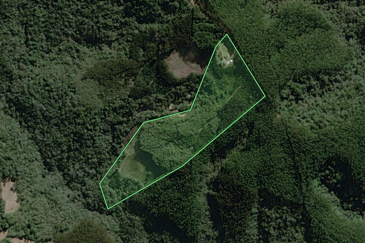 Imagem de satélite do imóvel rural em Campo Largo (PR), com o contorno declarado no CAR desenhado por cima.