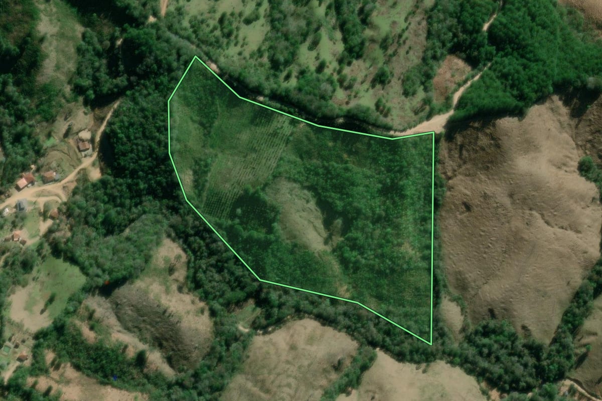Imagem de satélite do imóvel rural em Campo Largo (PR), com o contorno declarado no CAR desenhado por cima.