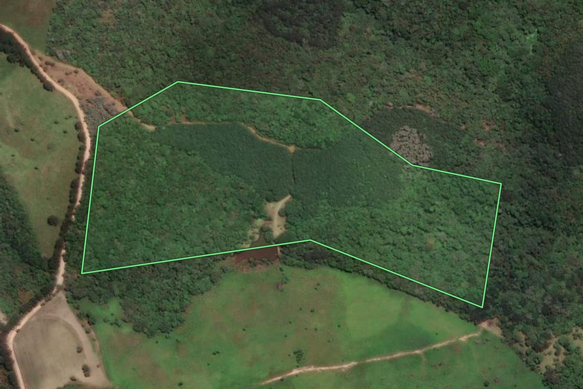 Imagem de satélite do imóvel rural em Campo Largo (PR), com o contorno declarado no CAR desenhado por cima.