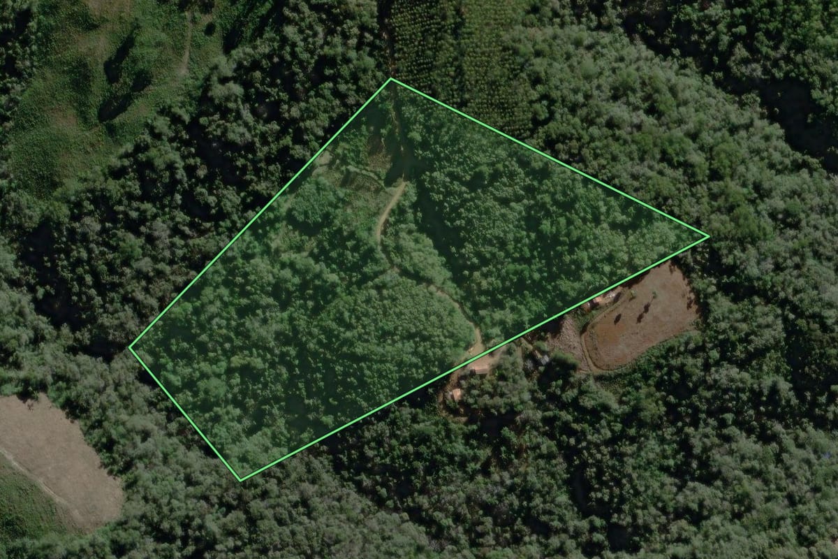 Imagem de satélite do imóvel rural em Campo Largo (PR), com o contorno declarado no CAR desenhado por cima.