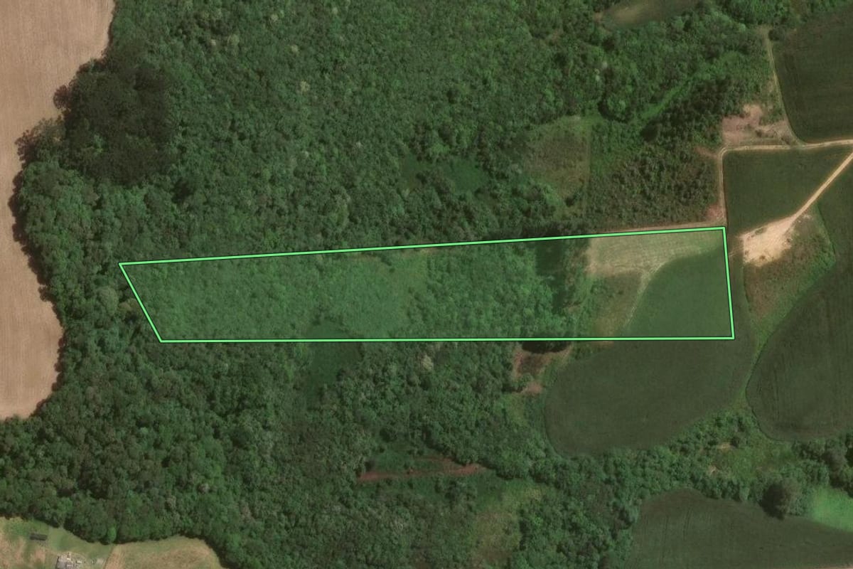 Imagem de satélite do imóvel rural em Campo Largo (PR), com o contorno declarado no CAR desenhado por cima.