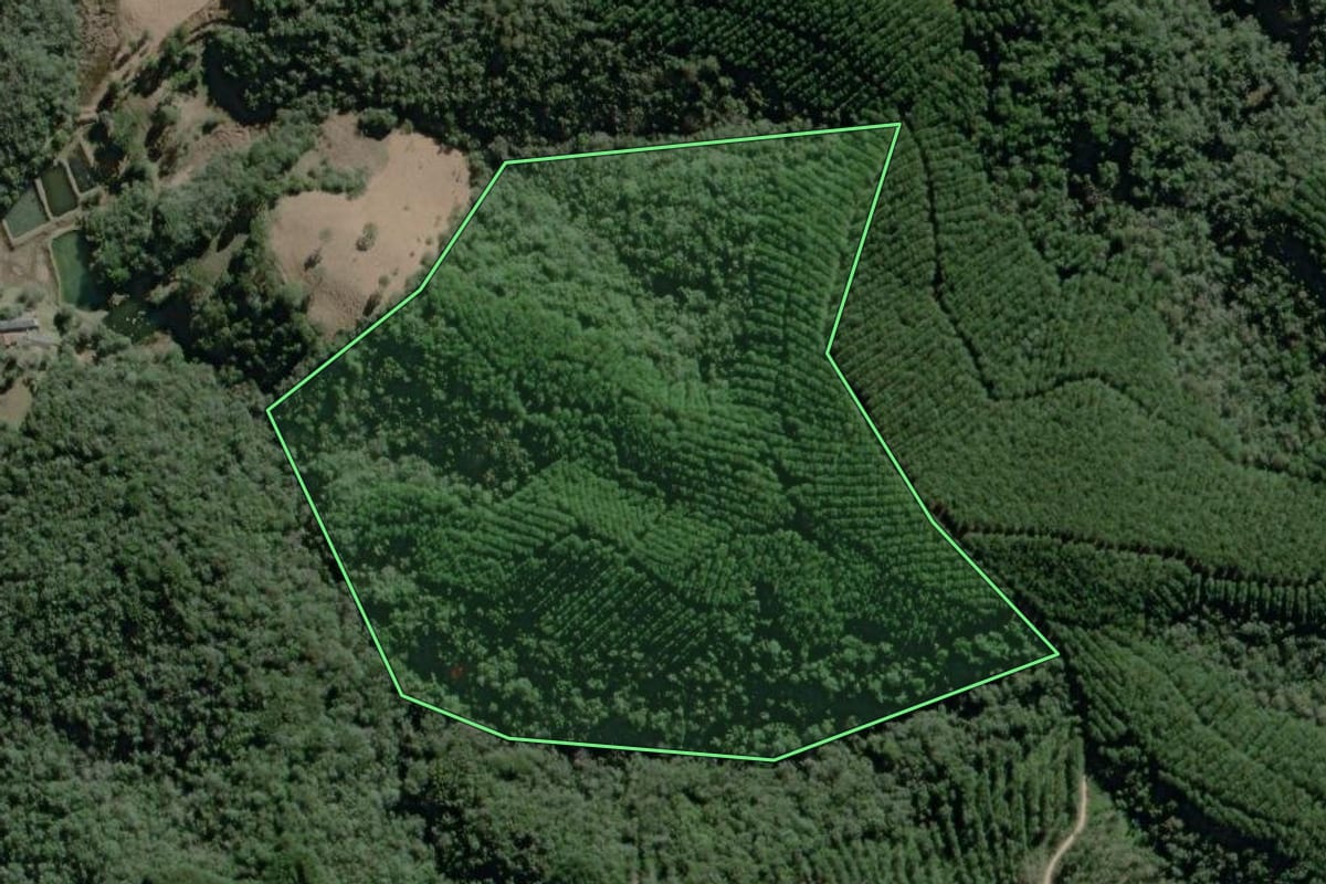 Imagem de satélite do imóvel rural em Campo Largo (PR), com o contorno declarado no CAR desenhado por cima.