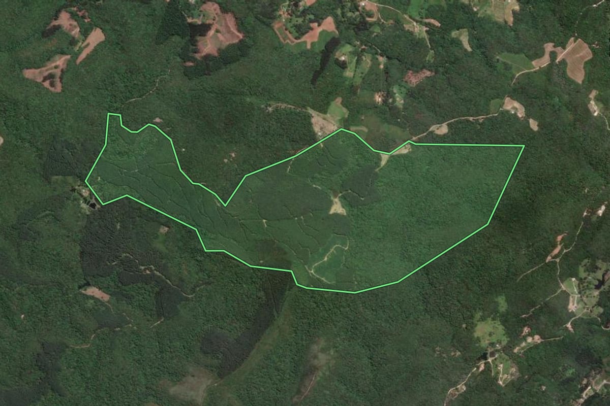 Imagem de satélite do imóvel rural em Campo Largo (PR), com o contorno declarado no CAR desenhado por cima.