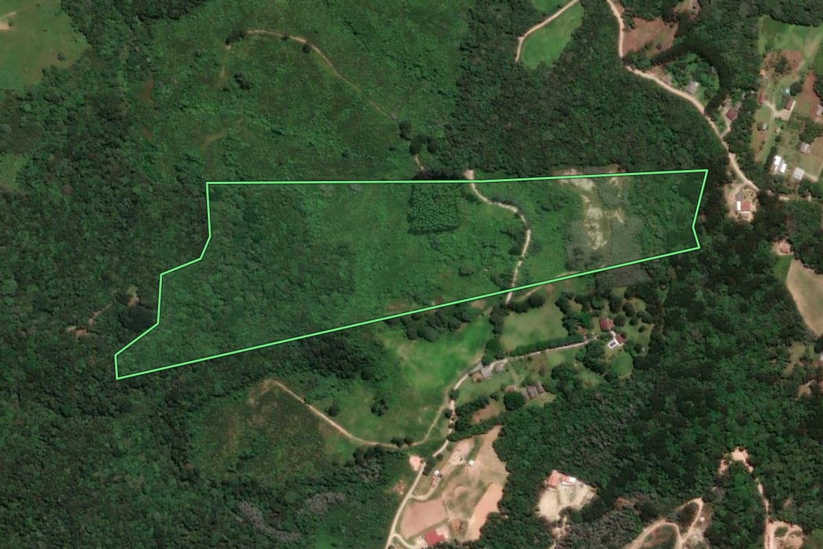 Imagem de satélite do imóvel rural em Campo Largo (PR), com o contorno declarado no CAR desenhado por cima.