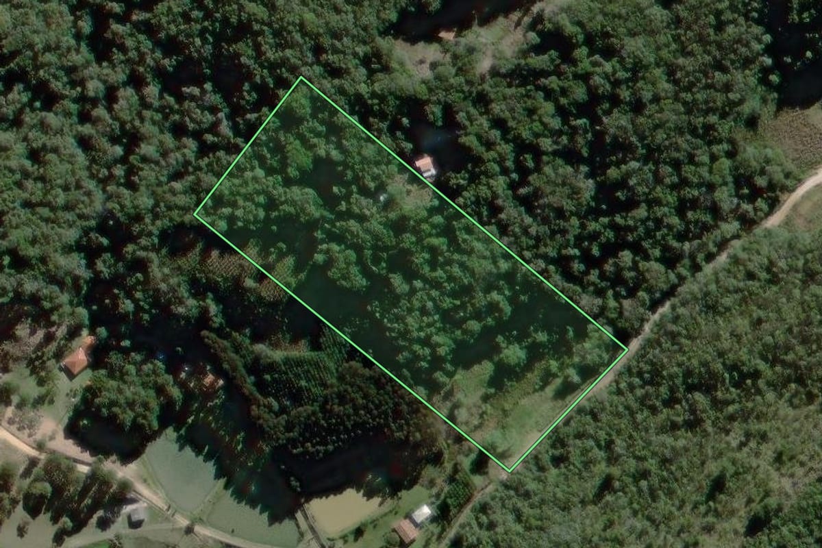 Imagem de satélite do imóvel rural em Campo Largo (PR), com o contorno declarado no CAR desenhado por cima.