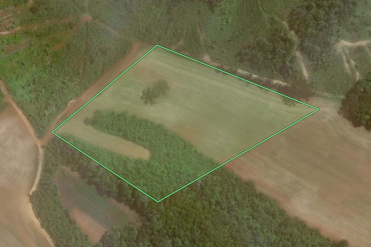 Imagem de satélite do imóvel rural em Campo Magro (PR), com o contorno declarado no CAR desenhado por cima.