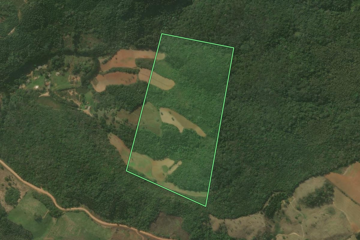 Imagem de satélite do imóvel rural em Campo Magro (PR), com o contorno declarado no CAR desenhado por cima.