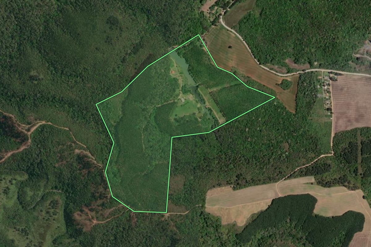 Imagem de satélite do imóvel rural em Campo Magro (PR), com o contorno declarado no CAR desenhado por cima.