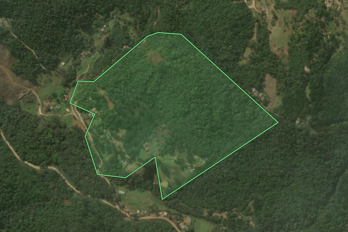 Imagem de satélite do imóvel rural em Campo Magro (PR), com o contorno declarado no CAR desenhado por cima.