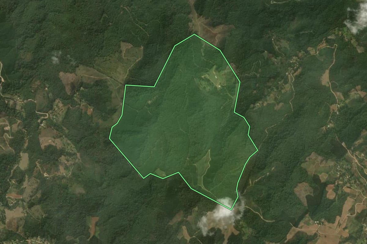 Imagem de satélite do imóvel rural em Campo Magro (PR), com o contorno declarado no CAR desenhado por cima.