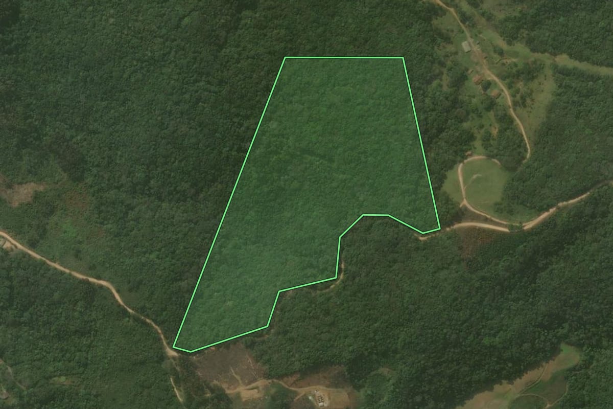 Imagem de satélite do imóvel rural em Campo Magro (PR), com o contorno declarado no CAR desenhado por cima.