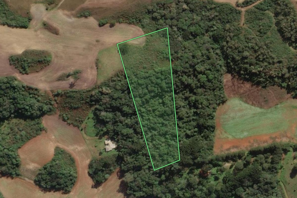 Imagem de satélite do imóvel rural em Campo Magro (PR), com o contorno declarado no CAR desenhado por cima.