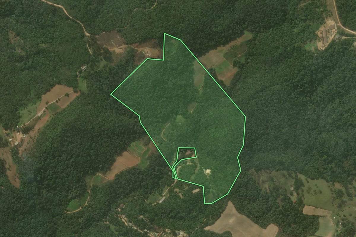 Imagem de satélite do imóvel rural em Campo Magro (PR), com o contorno declarado no CAR desenhado por cima.
