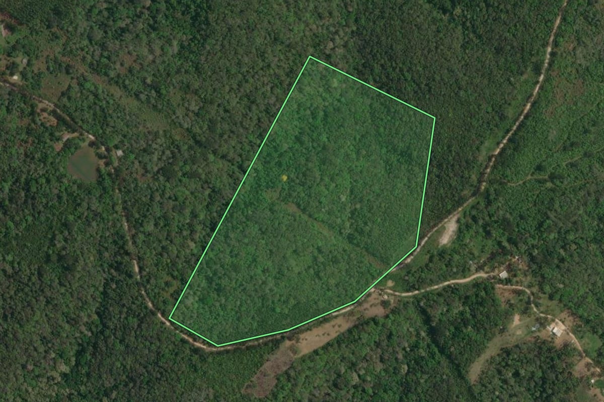 Imagem de satélite do imóvel rural em Campo Magro (PR), com o contorno declarado no CAR desenhado por cima.