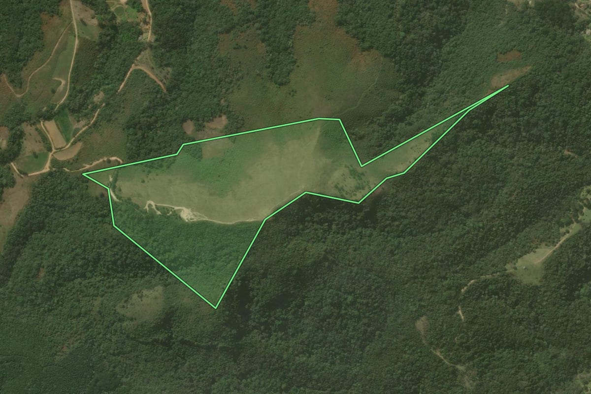 Imagem de satélite do imóvel rural em Campo Magro (PR), com o contorno declarado no CAR desenhado por cima.