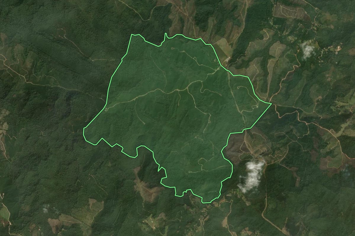 Imagem de satélite do imóvel rural em Campo Magro (PR), com o contorno declarado no CAR desenhado por cima.