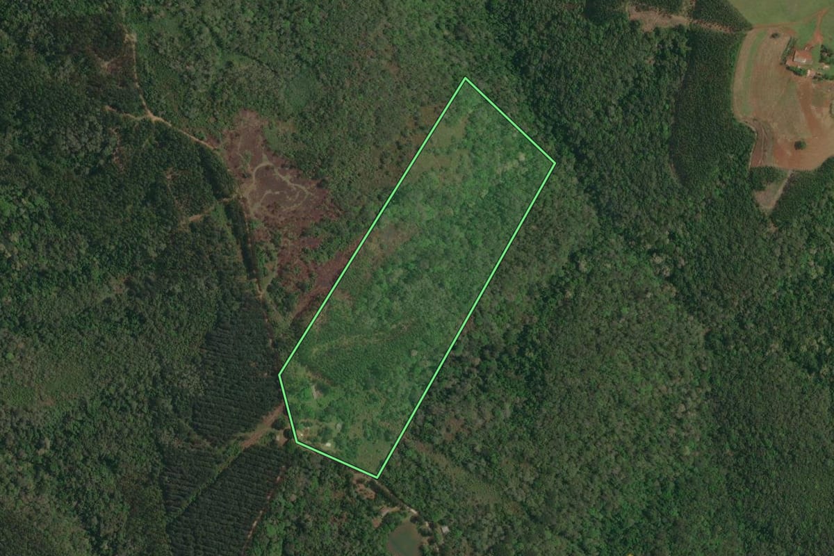 Imagem de satélite do imóvel rural em Campo Magro (PR), com o contorno declarado no CAR desenhado por cima.