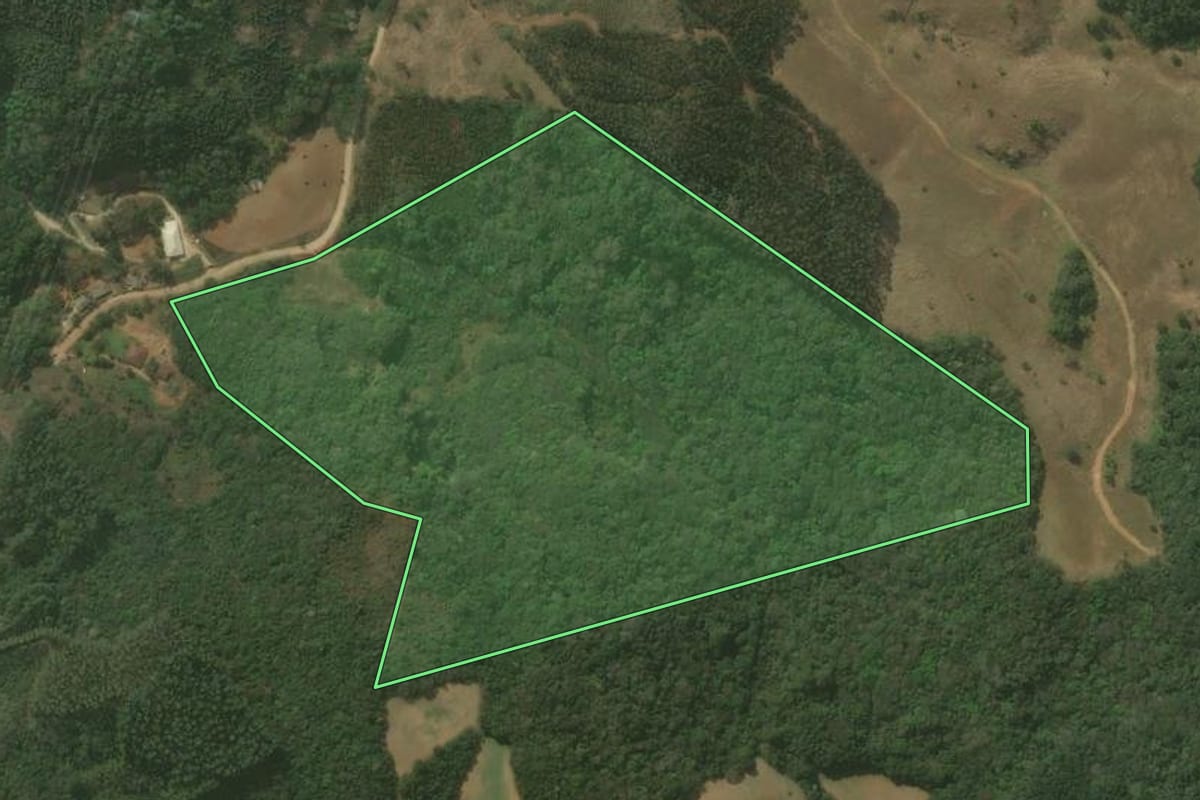 Imagem de satélite do imóvel rural em Campo Magro (PR), com o contorno declarado no CAR desenhado por cima.