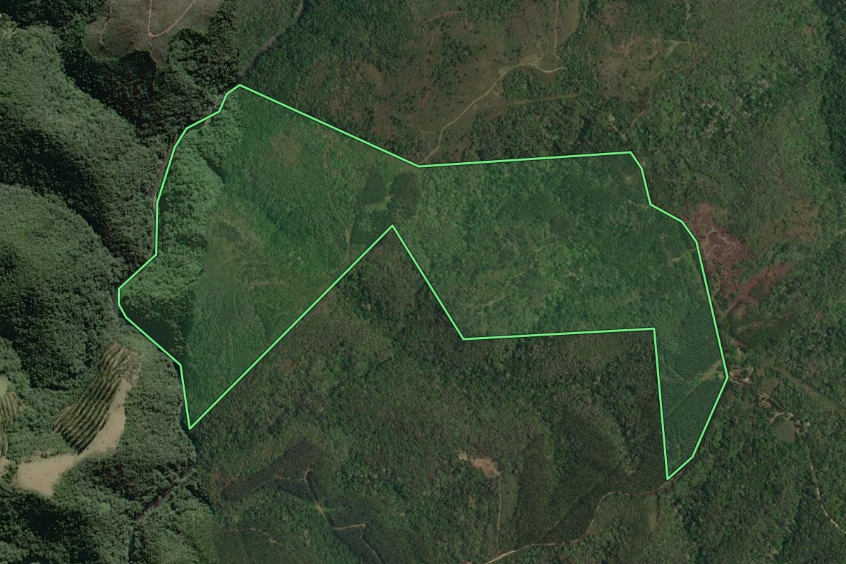 Imagem de satélite do imóvel rural em Campo Magro (PR), com o contorno declarado no CAR desenhado por cima.