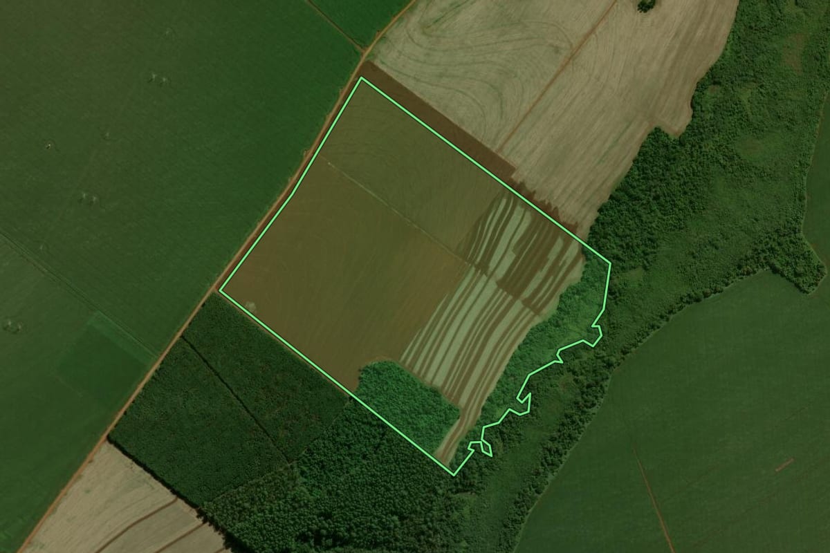 Imagem de satélite do imóvel rural em Campo Mourão (PR), com o contorno declarado no CAR desenhado por cima.
