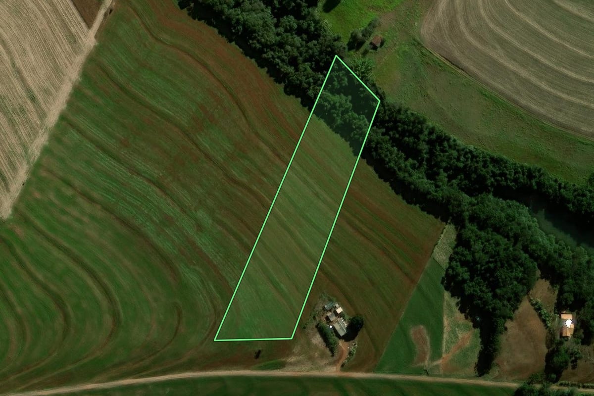 Imagem de satélite do imóvel rural em Campo Mourão (PR), com o contorno declarado no CAR desenhado por cima.