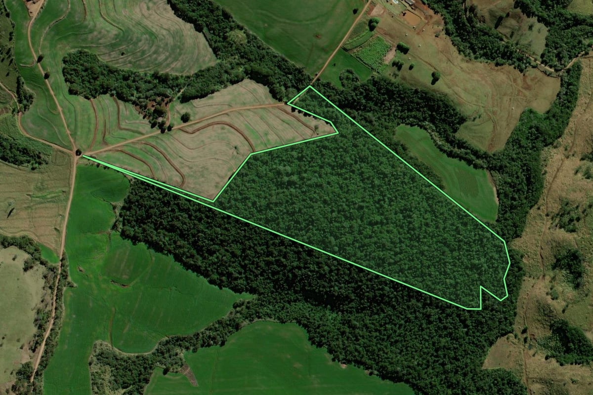 Imagem de satélite do imóvel rural em Campo Mourão (PR), com o contorno declarado no CAR desenhado por cima.