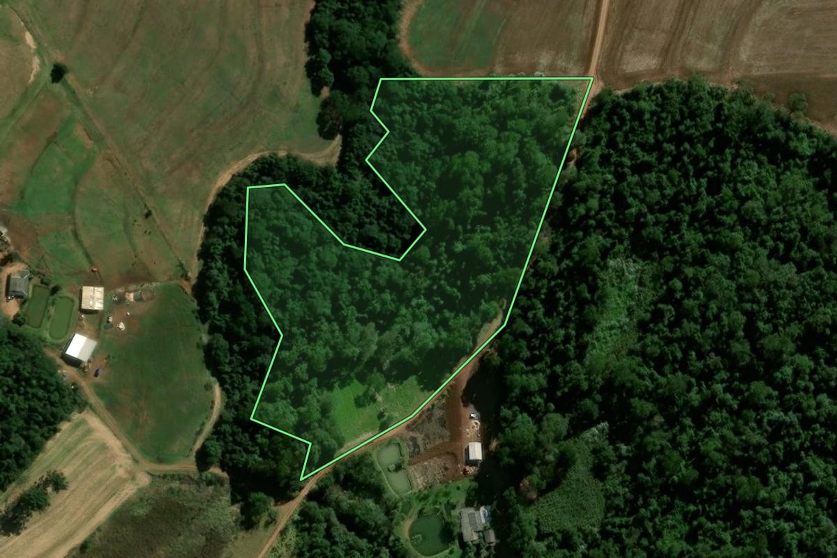 Imagem de satélite do imóvel rural em Campo Mourão (PR), com o contorno declarado no CAR desenhado por cima.