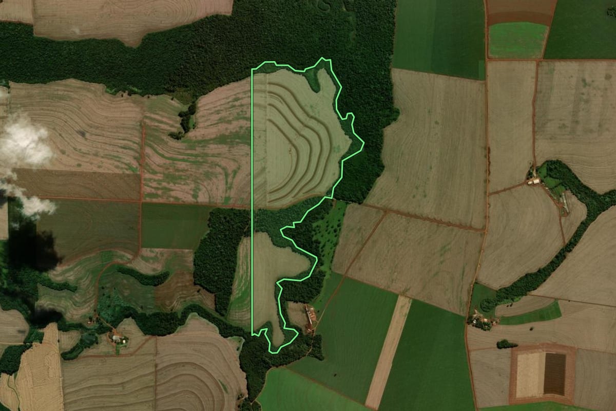 Imagem de satélite do imóvel rural em Campo Mourão (PR), com o contorno declarado no CAR desenhado por cima.